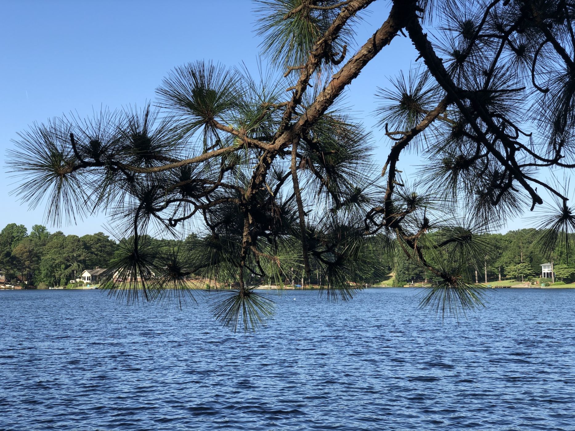 Seven Lakes NC